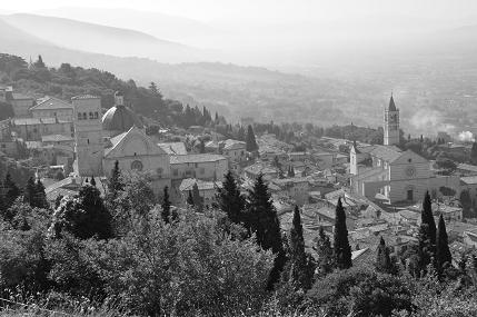 Assisi rm